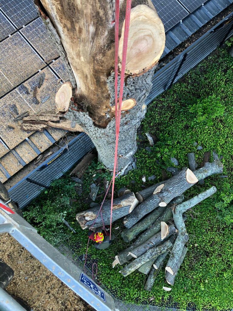 whatsapp image 2026 03 03 at 20.57.12